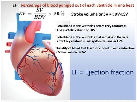 lv ef 68|how to assess ejection fraction.